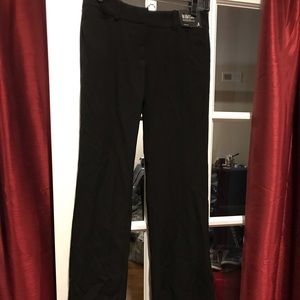 New York & Co pants